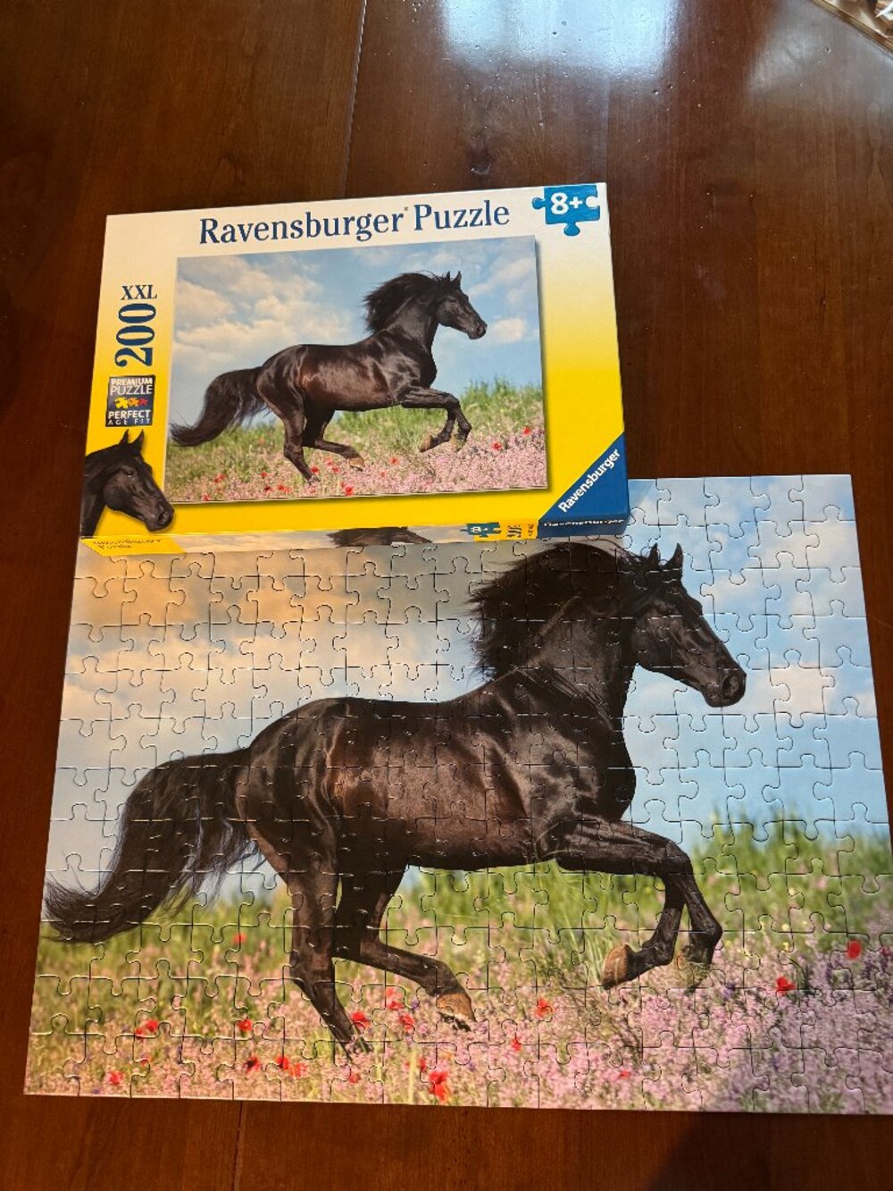 Ravensburger Beautiful Horse Black Stallion 200 Piece Puzzle 19" X 14"